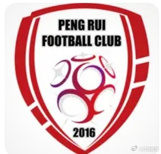 中国足球小将携手阿什利塔组建中冠队 冲击职业