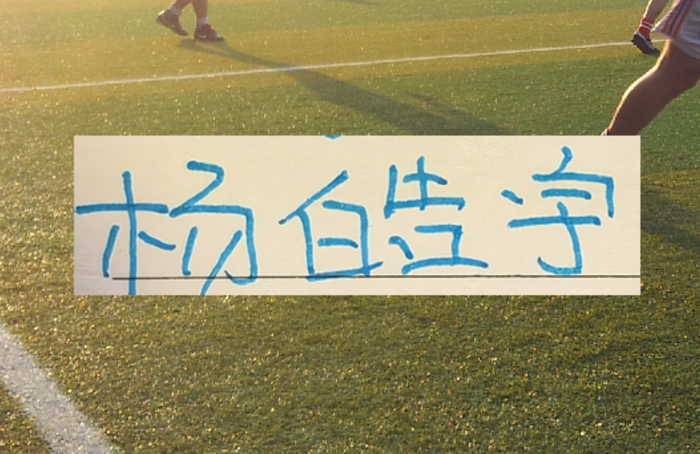 申花红牌遭重罚积分被扣 杨皓宇假摔黄牌引争议